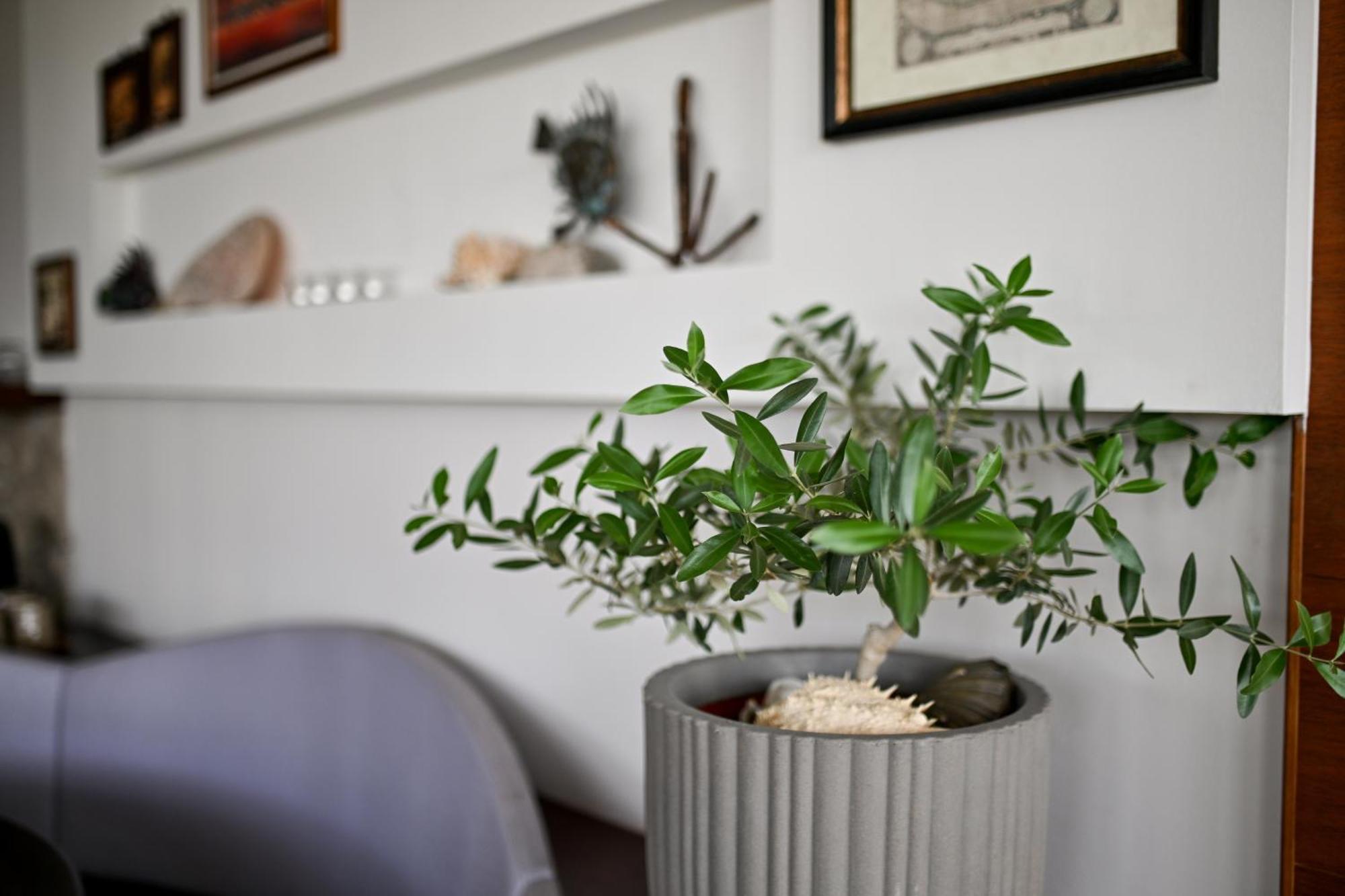 Hresc I Couette-café 3*